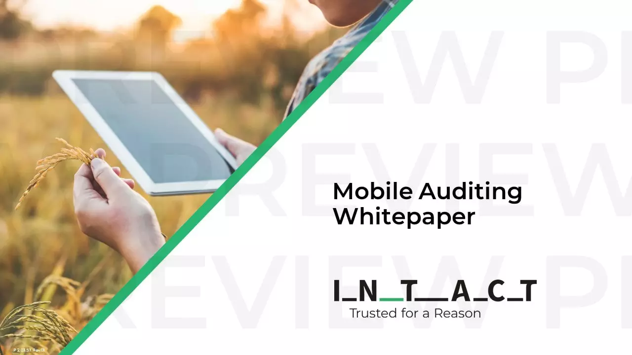 Mobile Auditing Whitepaper
