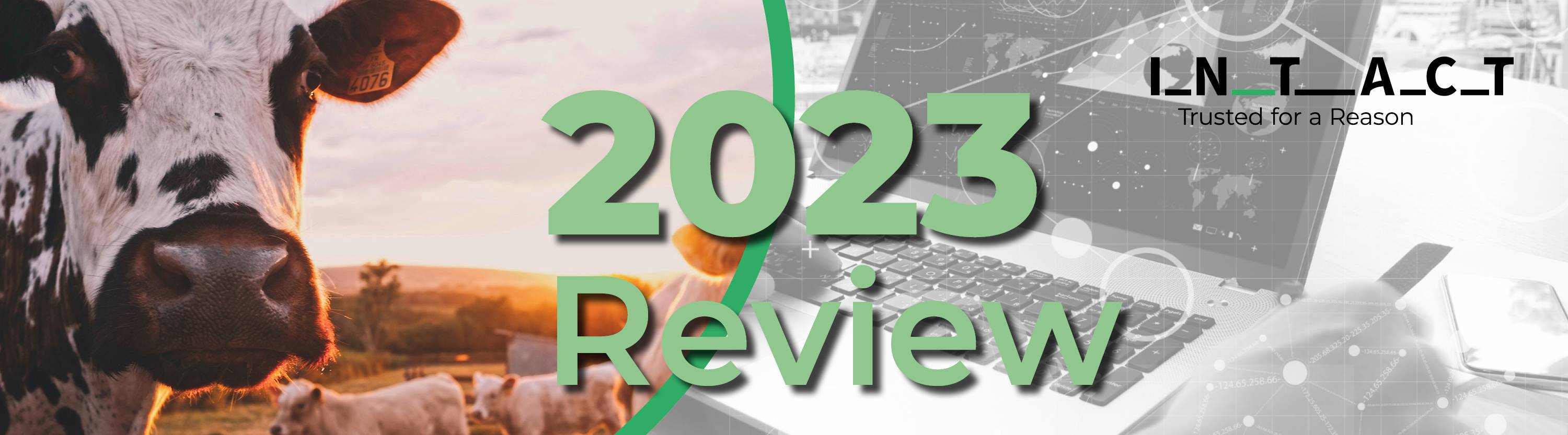 Intact’s 2023 in Review | Intact