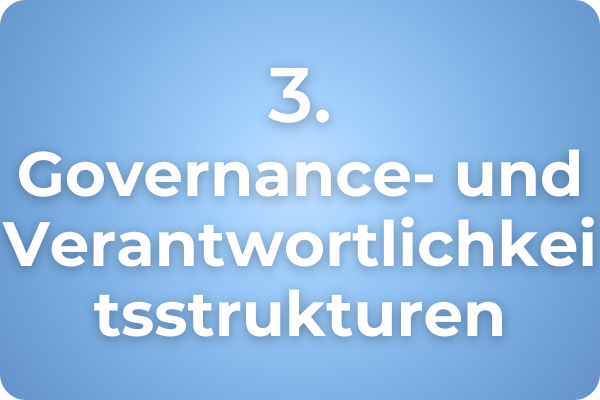 3. Governance- und Verantwortlichkeitsstrukturen