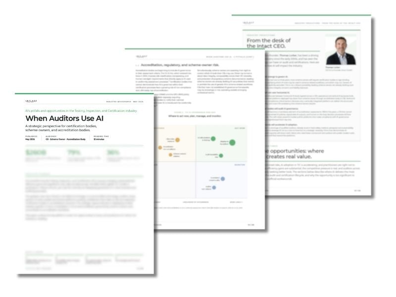 When Auditors Use AI Whitepaper preview