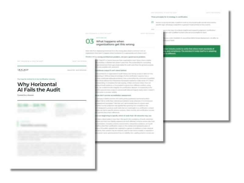 Horizontal or Vertical AI Whitepaper preview